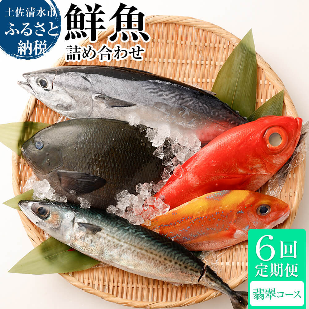 
            <6回定期便> 季節の鮮魚 おまかせお楽しみセット（翡翠コース）鮮魚 ボックス 詰め合わせ 天然魚 食べ比べ 魚介類 海鮮料理 魚 新鮮 刺し身 煮付け お楽しみ 定期便 6ヶ月 高知 【J00049】
          