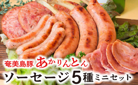 奄美島豚 あかりんとん ソーセージミニセット A008-001 ソーセージ 5種 詰め合わせ ミニセット 肉 お肉 島豚 ブランド豚 ホワイト スモーク ジャンボフランク ボロニア ボンレスハム ハム ふっくら ジューシー BBQ ギフト 贈り物 プレゼント お取り寄せ 鹿児島 奄美大島 カイセイ ご当地 グルメ キャンプ飯 お弁当 おかず