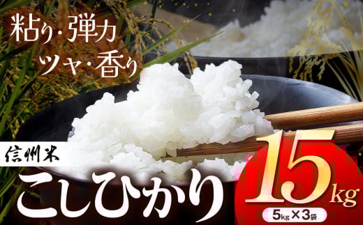 新米 令和7年産 信州米 こしひかり 白米 15kg 長野県産(5kg×3袋)│信州 松本市 米 お米 コシヒカリ ふるさと納税 長野県産 松本市 こしひかり 白米
