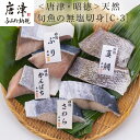 【ふるさと納税】天然旬魚の無塩切身 1枚70g~90g 全7枚でお届けします ぶり90g×2切 真鯛70g×2切 さわら90g×2切 かんぱち90g×1切 おかず ギフト 「2024年 令和6年」