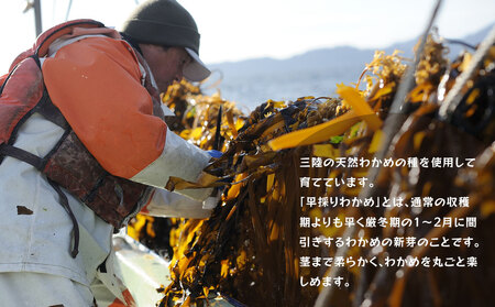 fn-72-041 三陸釜石・漁師直送 冷凍湯通し早採り生わかめ（200g×5袋) 【1月下旬頃から3月下旬頃期間限定 お届け便】両石港 隆丸