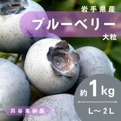 【ふるさと納税】【期間限定】【苅谷果樹園】大粒ブルーベリー(L～2Lサイズ)約1kg　小分けパック　岩手県軽米町【配送不可地域：離島・沖縄県】【1518035】