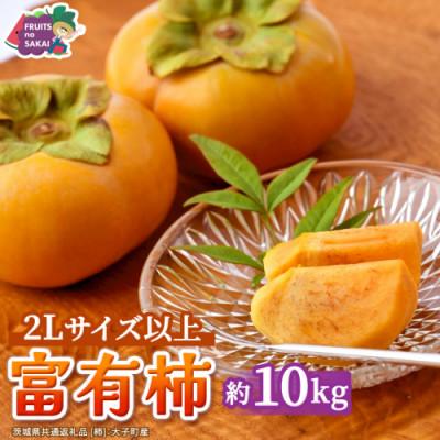 ふるさと納税 つくばみらい市 富有柿 2L以上 約10kg(茨城県共通返礼品 [柿]:大子町産)