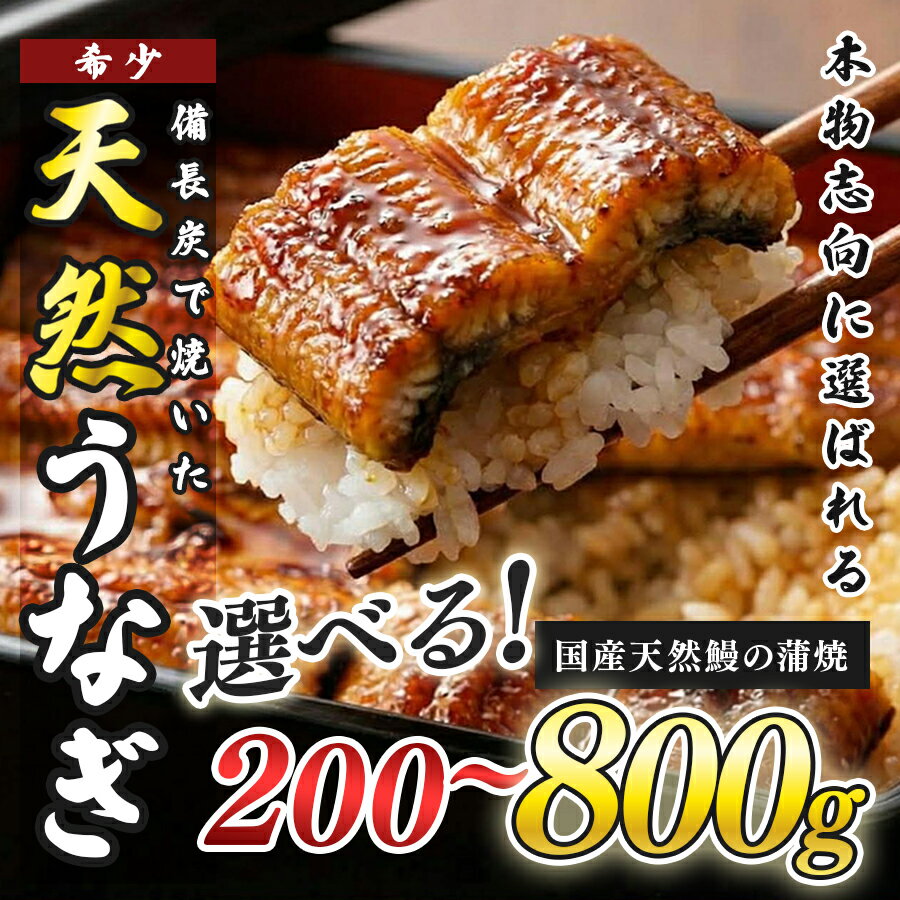【ふるさと納税】希少 天然 鰻 蒲焼 約1～7人前 200g～800g 国産 四万十川 うなぎ ウナギ 蒲焼き ウナギ蒲焼 鰻蒲焼 うな重 備長炭 炭火 炭火焼き 冷凍 湯せん 小分け 贈答 お取り寄せ ギフトご褒美 簡単 土用の丑の日 高知県 大月町