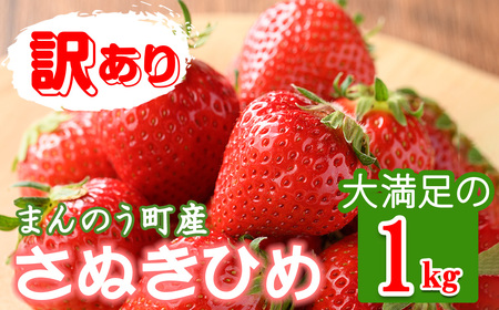 ＜先行予約！2025年3月下旬以降順次発送予定＞＜訳あり＞ 香川県産 さぬきひめいちご(約1kg)  まんのう町 特産品 香川県 生もの 国産 果物 フルーツ 苺 いちご イチゴ 新鮮 冷蔵便 【man106・man107】【Aglio nero】