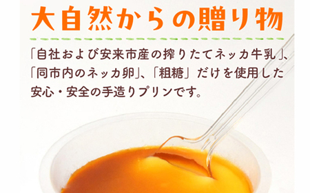 手造りプリン6個セット／冷蔵 ネッカ牛乳 ネッカ卵 蒸しプリン ソース別 牧場 スイーツ おいしい ご褒美 おやつ 牧場 搾りたて グルメ お土産 自宅用 ギフト 贈り物 島根県 安来市【06-WB-