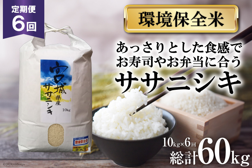
            6回 定期便 米 宮城県産 ササニシキ 環境保全米 10kg ×6回 総計 60kg [菊武商店 宮城県 気仙沼市 20564938] お米 こめ コメ 白米 精米 ブランド米 ご飯 ごはん 小分け 家庭用 6ヶ月 レビューキャンペーン 感想
          