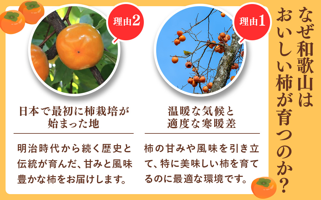 【先行予約】【秋の美味】【和歌山ブランド】濃厚たねなし柿 秀品 L〜４Lサイズ 約7.5kg入り ◇ ※沖縄地域へのお届け不可 ※2025年10月上旬～11月上旬頃に順次発送予定【GO-02】