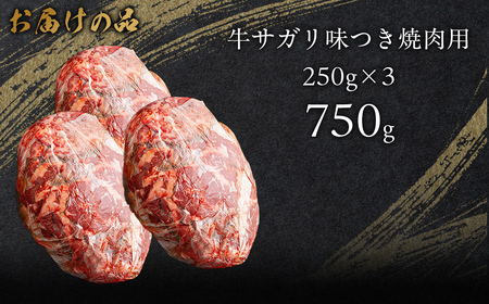 牛サガリ味つき焼肉用 750g (250g×3) MROBM028