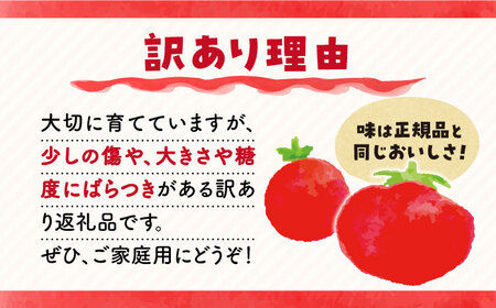 【先行予約】【 訳あり 】 西海産 トマト 3kg ＜株式会社ミスズアグリ西海＞[CFN003] 長崎 西海 訳ありトマト トマト ﾄﾏﾄ とまと フルーツトマト ﾄﾏﾄ こだわりトマト ﾄﾏﾄ おす