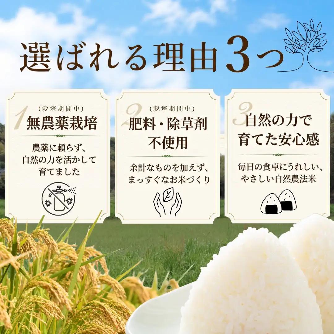 【大分県産】 自然農法 玄米 5kg | 豊後高田市