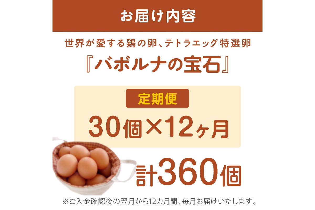 【J11-001】テトラエッグ特選卵『バボルナの宝石』（30個/月）【12カ月定期便】