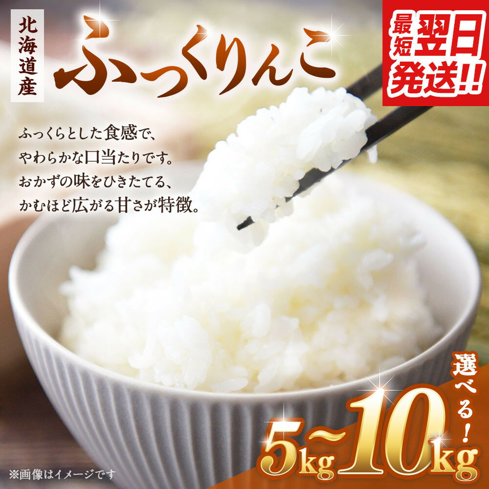 【ふるさと納税】【容量選択可】令和6年産　北海道産ふっくりんこ5kg又は10kg【国産 白米 精米 お米 単一原料米 厳選 マイスター 生活応援 ふっくりんこ おすすめ 北海道 美唄市 美唄】