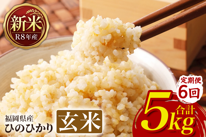 【6回定期便】 ひのひかり 米 お米 玄米 5kg 5キロ 令和8年産 新米 福岡県産 うきは市 国産 精米 ご飯 ごはん おにぎり お弁当 人気 おすすめ 家庭用 ギフト プレゼント お中元 お歳暮
