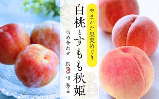 やまがた果実めぐり ―白桃と秋姫― 約3kg 秀品【令和8年産先行予約】FS25-090