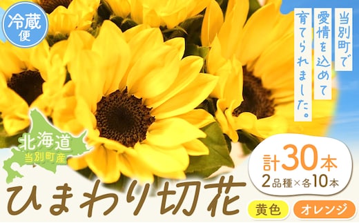 
										
										【1-5-283】ひまわり 切花 30本 黄色 オレンジ 四季農場《6月上旬-10月中旬頃出荷》北海道 当別町 花 お花 はな ひまわり 夏 切り花 冷蔵便 北海道産 当別町産 インテリア
									