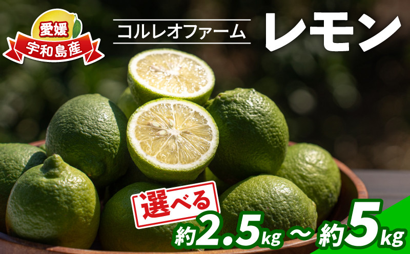 
            レモン 選べる 内容量 2.5kg ~ 5kg コルレオファーム 国産 防腐剤 ・ ワックス 不使用 国産レモン 先行予約 青レモン れもん remon 檸檬 レモン果汁 酸味 果物 くだもの ビタミン サワー ジュース チューハイ 健康 フルーツ 柑橘 農家直送 産地直送 数量限定 愛媛 宇和島 B010-145013~014
          