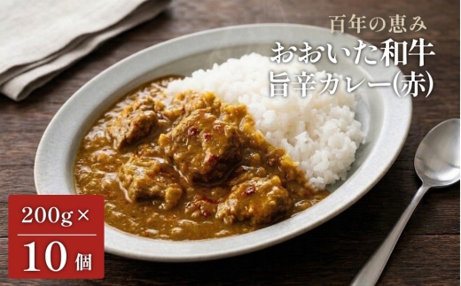 
                  百年の恵み おおいた和牛旨辛カレー(赤) 10個セット
                