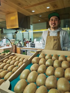 東伊豆・佐藤農園のキウイ　家庭用　約2.5kg（Mサイズ～3Lサイズ） 1332 ／ 佐藤農園 果物 フルーツ 農家直送 静岡県 東伊豆町
