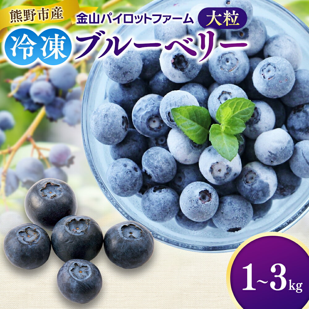 【ふるさと納税】 ブルーベリー 冷凍 1kg 2kg 3kg 【選べる容量】 急速冷凍 数量限定 大粒 フルーツ 果物 くだもの スムージー ジャム 朝食 デザート 特産品 人気 国産 旬 金山パイロットファーム 三重県 熊野市 送料無料 【2026年9月頃から順次発送】