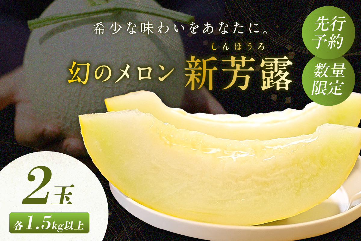【先行予約／数量限定200】幻のメロン 新芳露 2玉（2025年7月中旬～発送）