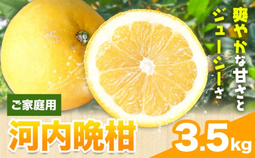 爽快柑橘 有田育ちの爽やか柑橘 ご家庭用 河内晩柑 3.5kg 有田マルシェ 先行予約《2027年4月上旬-5月下旬頃出荷》 和歌山県 日高町 晩柑 和製グレープフルーツ 訳あり 旬 柑橘 フルーツ 果物