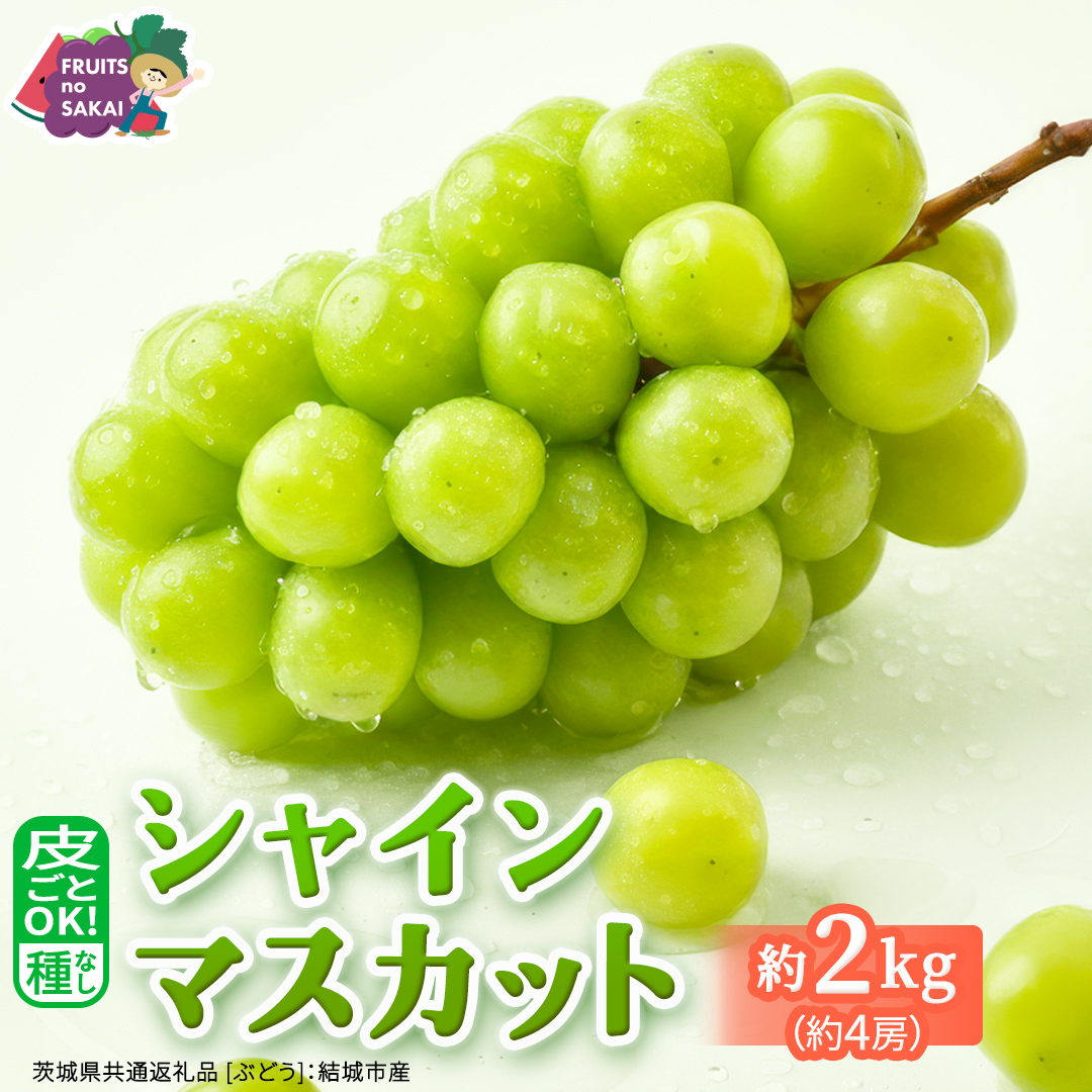 シャインマスカット 2kg （4房）【2025年9月より発送開始】（