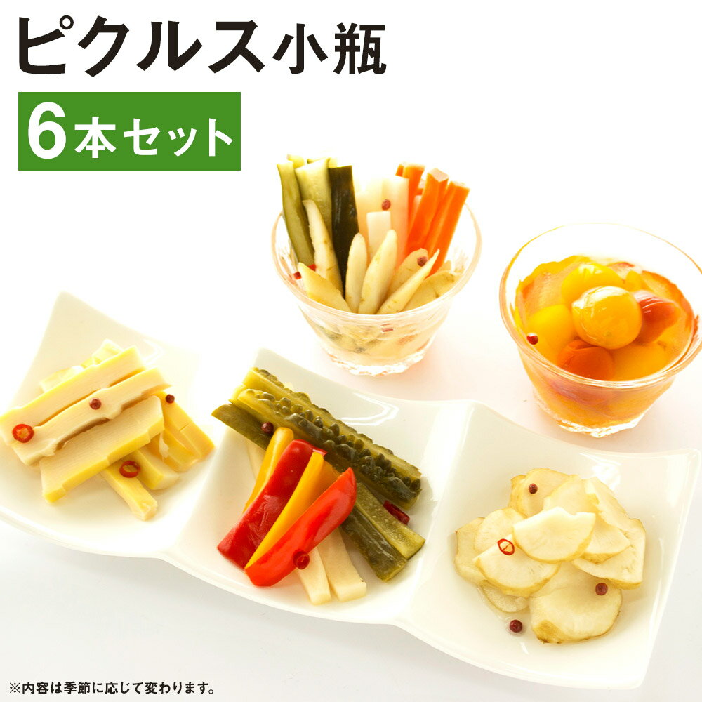 【ふるさと納税】ピクルス 小瓶 6本セット 【メロンドーム】 1本約130g〜150g ピクルス 野菜 酢漬け 漬物 おつまみ 旬の野菜 送料無料《90日以内に出荷予定(土日祝除く)》