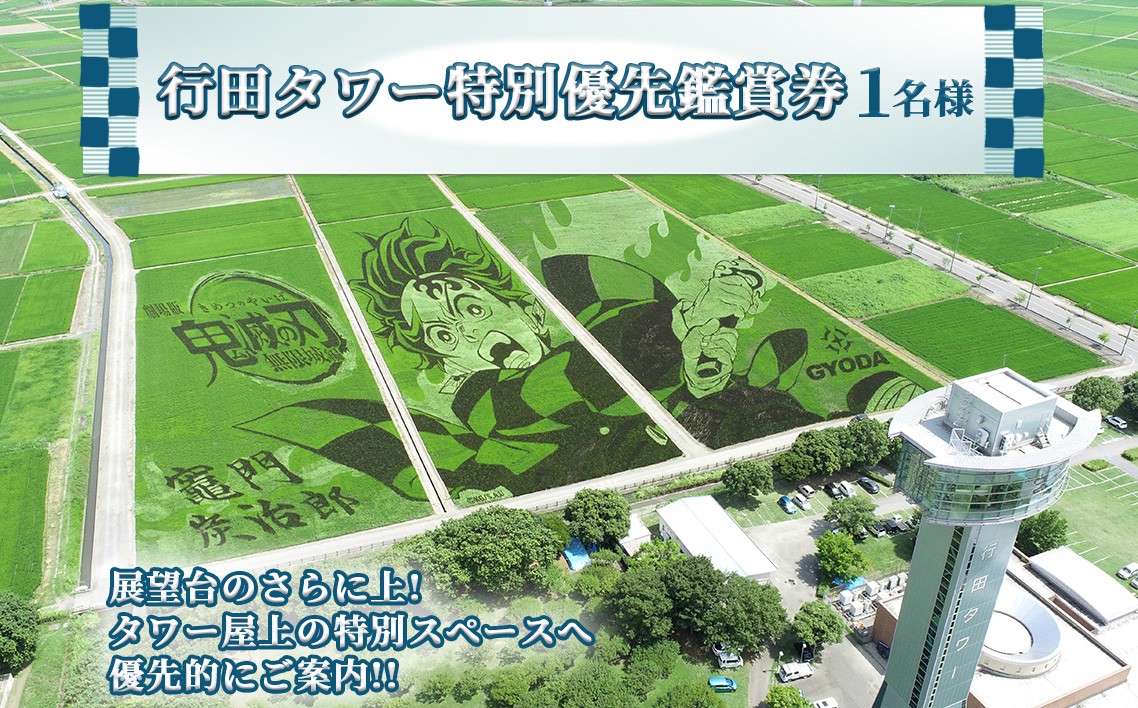
            No.494 行田タワー特別優先鑑賞券～地上50メートルからの大パノラマ！～（1名様） ／ 古代蓮 田んぼアート 混雑時期限定 特別プログラム 優先的 大迫力 チケット 見学 観光 思い出 お土産 埼玉県
          