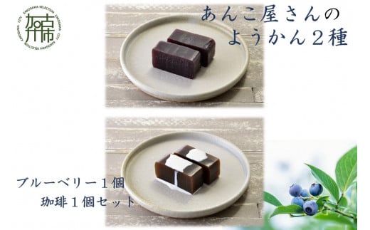 【老舗の味】あんこやさんの「ようかん2種」(ブルーベリー1個・珈琲1個セット)《 珈琲ようかん ブルーベリーようかん ようかん 羊羹 ようかんセット 老舗 お菓子 和菓子 》【2401H05921】