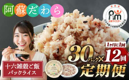 【定期便12ヶ月】阿蘇だわら 十六雑穀ごはん パックライス 160g×30パック 十六雑穀 雑穀 ごはん 米  香り 甘み  国産 定期便 お米