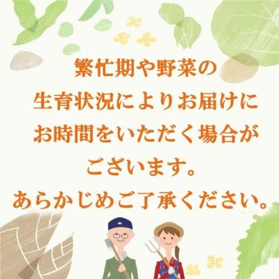 ふるさと納税 神埼市 年間定期便48回 里山で採れた野菜セットレギュラー 12品 (H078108) |  | 01