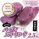 【ふるさと納税】【先行予約】【数量限定】パープルスイートロード 生芋（2.5kg）| さつまいも サツマイモ 紫 産地直送　※2024年12月上旬～2025年4月下旬頃に順次発送予定