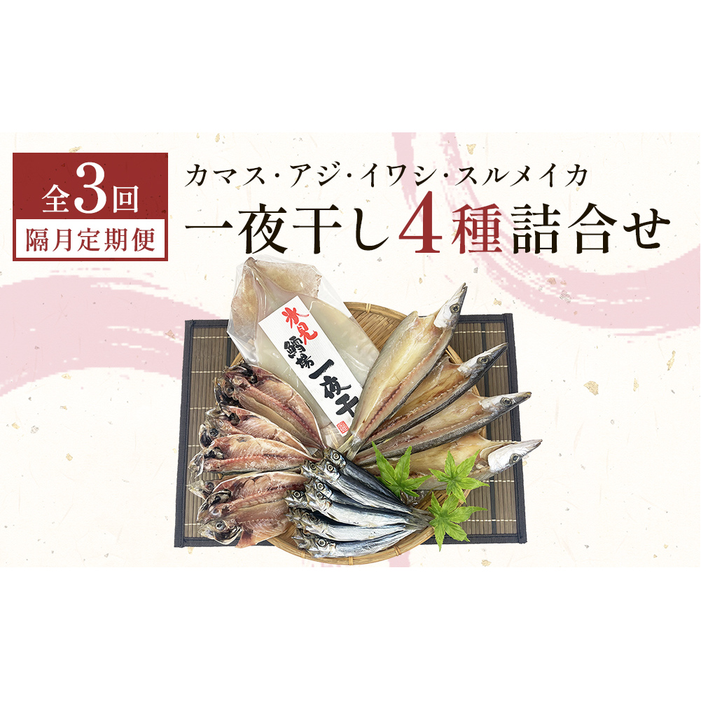 【隔月3回】一夜干し4種詰合せ定期便《カマス・アジ・イワシ・スルメイカ》 富山県 氷見市 定期便 干物 かます あじ 鰯 いわし いか おかず 一品 
