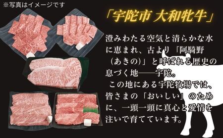 ＜冷凍＞大和牝牛 プレミアムセット 計1.8kg ／太田家 和牛 牛肉 しゃぶしゃぶ すき焼き 焼肉 お弁当 バーベキュー アウトドア キャンプ 父の日 お中元 贈答用 贈り物 暑中見舞い お土産 お