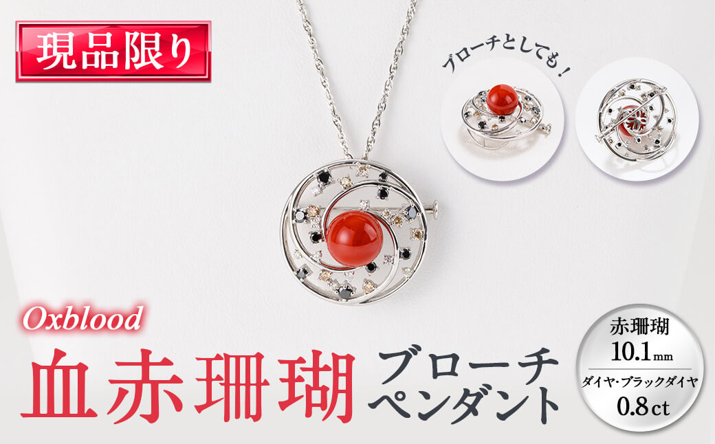 
            血赤珊瑚ブローチ・ペンダント(赤珊瑚:約10.1mm、ダイヤ・ブラックダイヤ:0.8ct) 珊瑚 サンゴ ダイヤモンド ブラックダイヤモンド アクセサリー ブローチ ペンダント xc00-001
          
