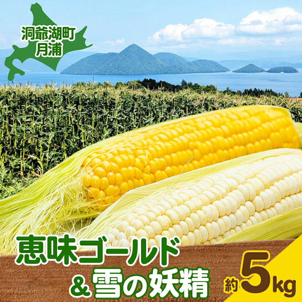 【ふるさと納税】北海道 月浦 めぐみ ゴールド 雪の妖精 5kg 先行受付 8月下旬～9月中旬頃にお届け とうもろこしトウモロコシ とうきび コーン 恵味 スイート コーン 旬 野菜 朝採り 産地直送 青山農園 送料無料 洞爺湖 　お届け：2026年8月中旬～9月中旬頃まで