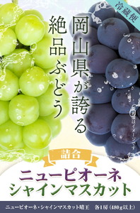 ニューピオーネ シャインマスカット ぶどう詰合 岡山県産 ニューピオーネ（480ｇ以上）１房・シャインマスカット（晴王480ｇ以上）１房 株式会社山博(中本青果)《8月下旬-10月上旬頃出荷》岡山県 