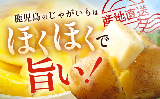 【先行予約】じゃがいも 馬鈴薯 (バレイショ) ≪2L～L≫ 約10kg×1箱 /ニシユタカ (約30個) ≪ 2026年3月20日頃より順次発送≫ CS-1｜産地直送 旬 ジャガイモ 芋 ポテト ば