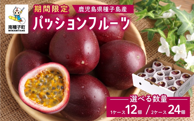 
                  《令和8年度》 種子島産パッションフルーツ （ 12個入り / 24個入り ) パッションフルーツ 果物 フルーツ 食品 グルメ お取り寄せ お中元 人気 おすすめ 返礼品 南種子町 鹿児島 かごしま 【有限会社新栄物産】
                