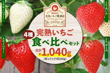 [2026年1月上旬より順次発送] 4種類の「完熟いちご」 食べ比べ！ Bセット 260g×4パック 日光の自然が育むいちご｜先行予約 期間限定 イチゴ 苺 フルーツ とちおとめ とちあいか スカイベリー ミルキーベリー 果物 産地直送 日光産 栃木県産 [0653]