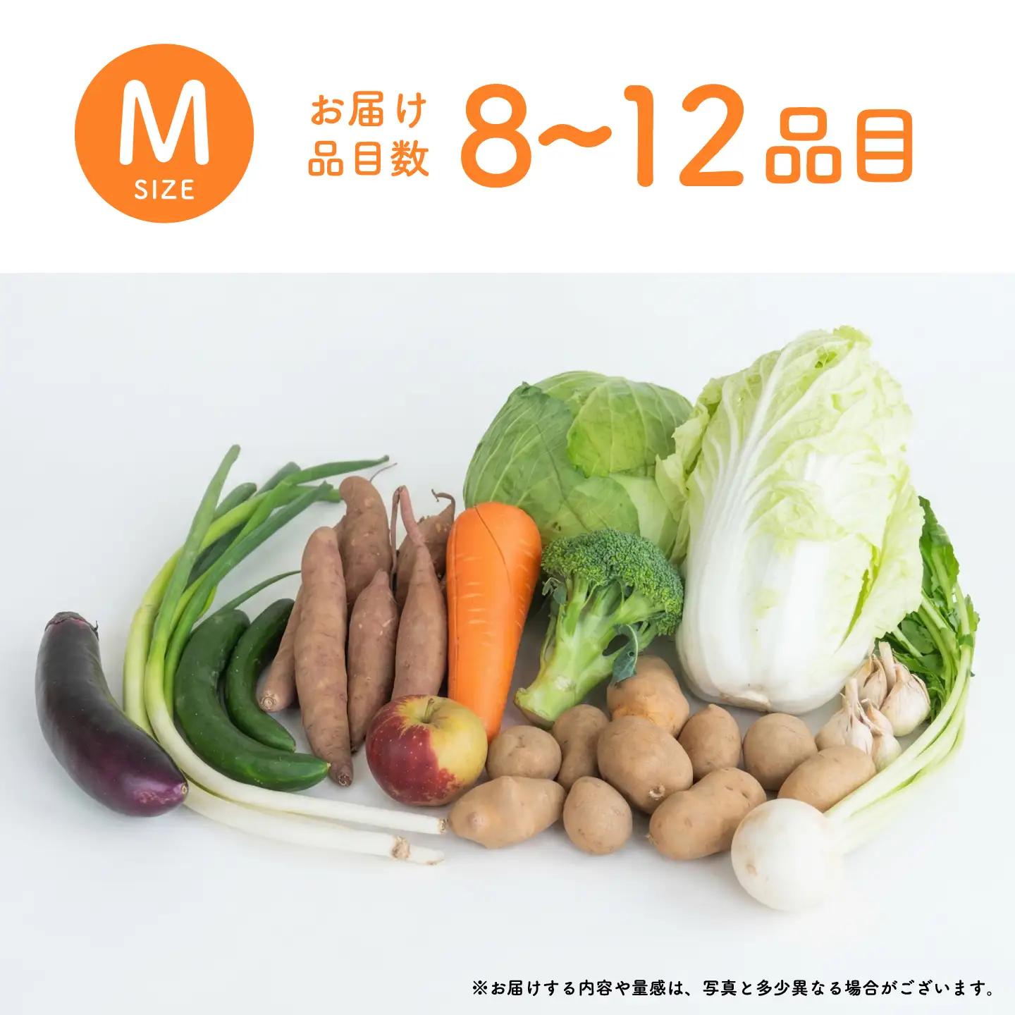 ＜ロスヘル＞多数のメディアで紹介されました！【訳あり】旬のもったいないお野菜詰め合わせセット　Mサイズ　野菜 規格外野菜 