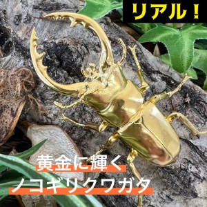 400-9-1 純金製（Ｋ２４）製　鋸鍬形（ノコギリクワガタ）