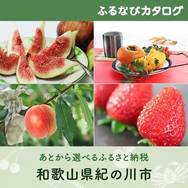 【有効期限なし！後からゆっくり特産品を選べる】和歌山県紀の川市カタログポイント