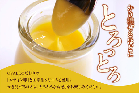 濃密ルテinプリン（6個入） プリン お菓子 スイーツ おやつ 卵 濃厚 濃密 とろとろ ルテイン ギフト 贈り物 贈答 愛知県 東浦町