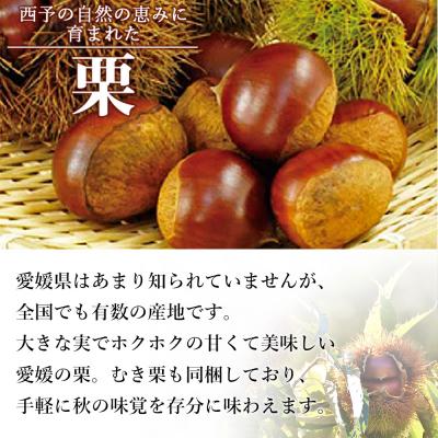ふるさと納税 西予市 <栗尽くしセット(むき栗150g×2袋・生栗1kg)愛媛県西予市産> くり 生栗 剥き栗 フルーツ |  | 01