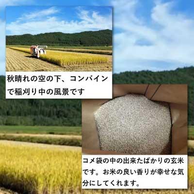 ふるさと納税 大館市 【令和7年産】秋田県産「あきたこまち」精米5kg(5kg×1袋) |  | 02