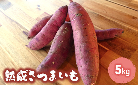 さつまいも 野菜 熟成 紅はるか ふくむらさき 紅あずま さつまいも【5kg】【訳あり】
