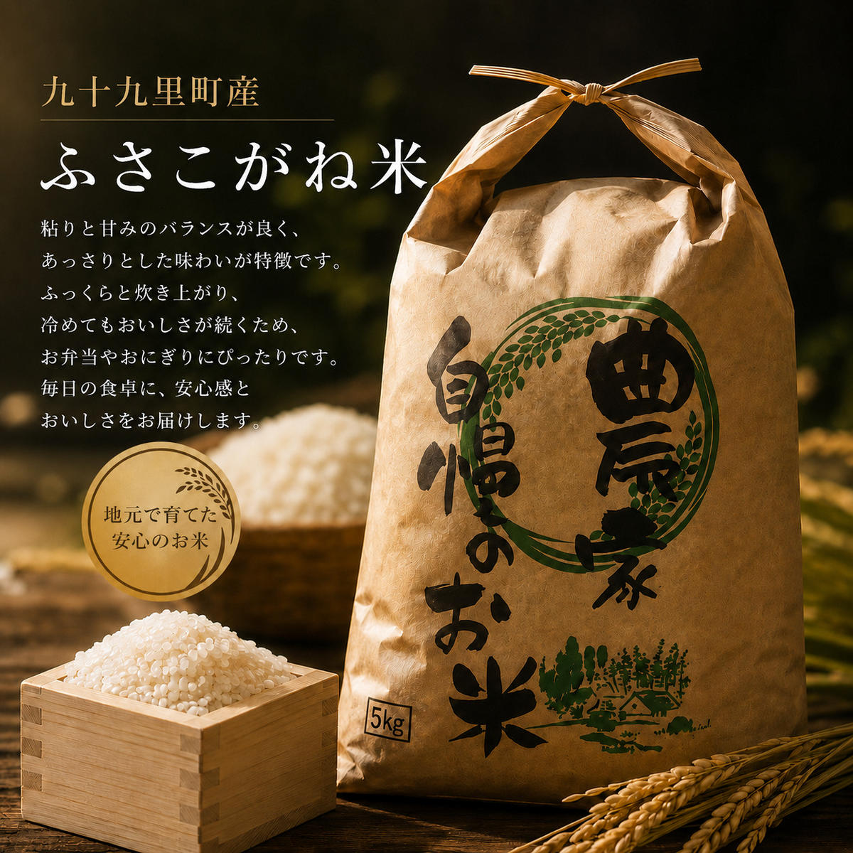【新米】米 ふさこがね 5kg まなびファーム 令和8年産  白米 精米 ブランド米 産地直送