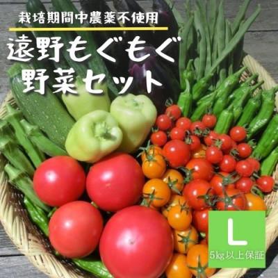 ふるさと納税 遠野市 野菜セット 10〜12種 Lサイズ 栽培期間中農薬不使用 岩手県 遠野市 遠野もぐもぐカントリー